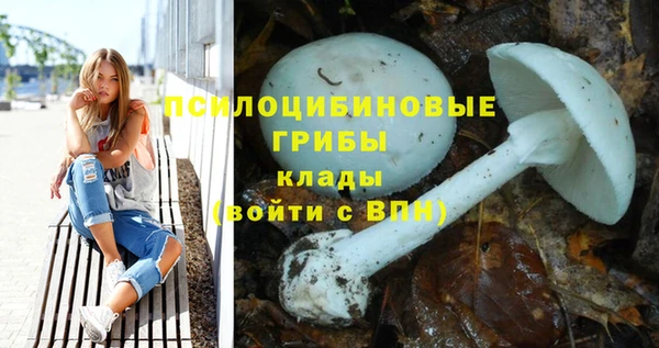 ешки Медногорск